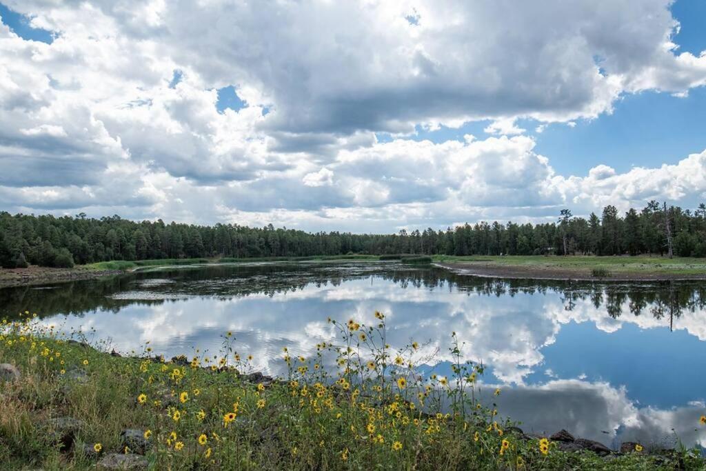 Pine Cone Cabin Villa Пайнтоп-Лейксайд Екстериор снимка